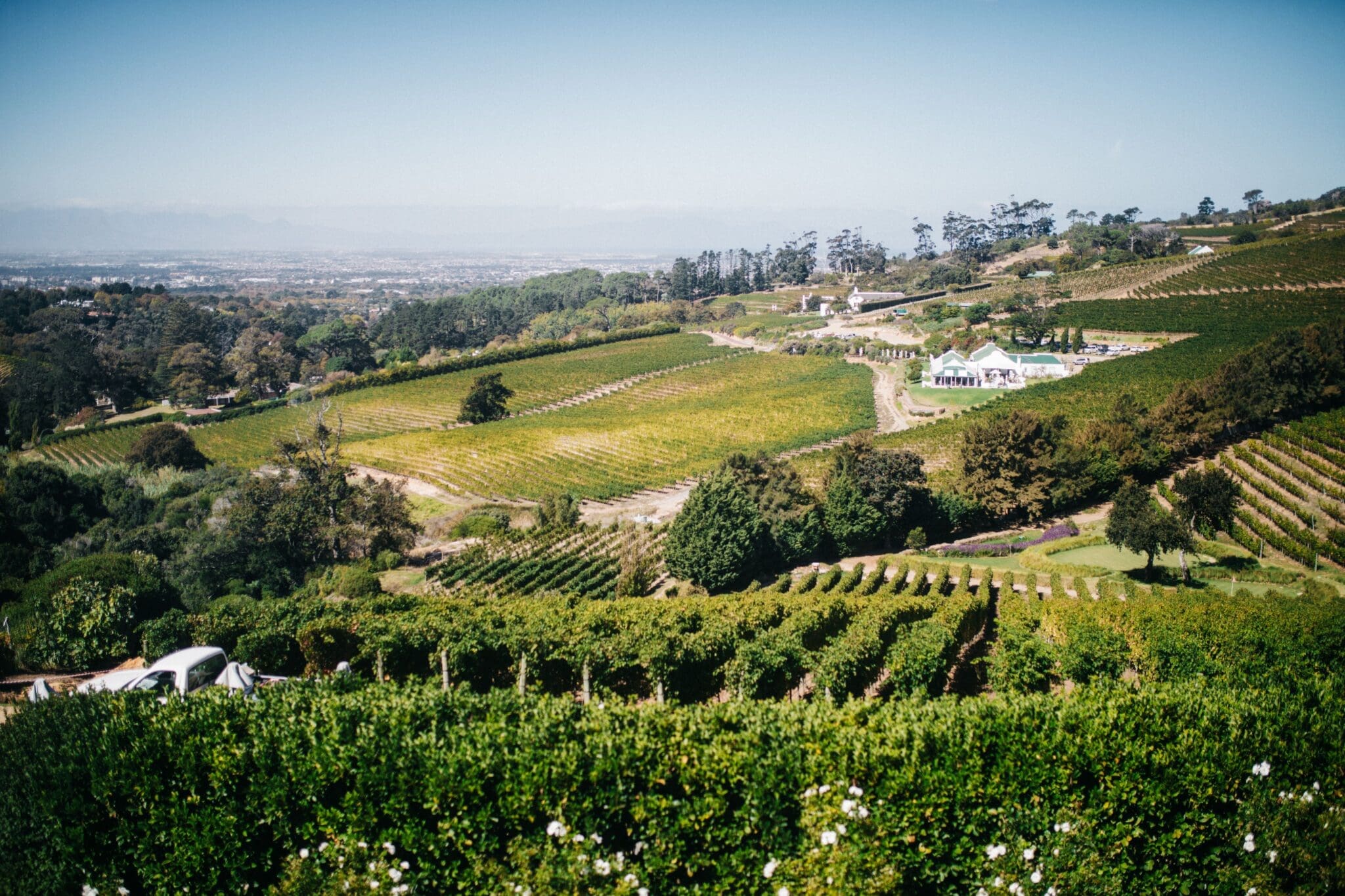 nature-landscape-green-vineyard-wine-winery-beautiful-south-africa-cape-town-wine-farm_t20_oEyN4A